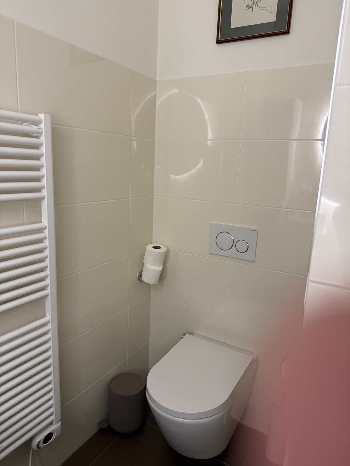 WC within the bathroom
